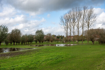 Fototapeta na wymiar Reflecting natural water ponds and trees at the Pajottenland around Lennik, Brabant, Belgium