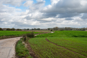 Fototapeta na wymiar Bending countryroad through the agriculture fields around Lennik, Brabant, Belgium