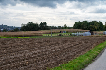Landscape view over harvested agriculture fields of corn at the Flemish countryside around Roosdaal, Belgium