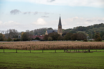Green and golden agriculture fields at the Flemish countryside around Roosdaal, Belgium