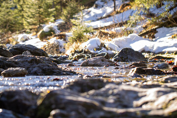 Mountain Creek