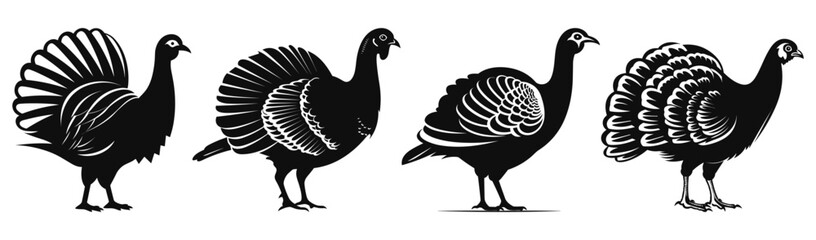 Set of Turkey Bird Black Color Vector Illustration - obrazy, fototapety, plakaty