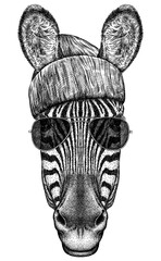Vintage engraving isolated zebra horse glasses dressed fashion set illustration ink sketch. Wild equine background nag mustang animal silhouette sunglasses hipster hat art. Hand drawn image © Turaev