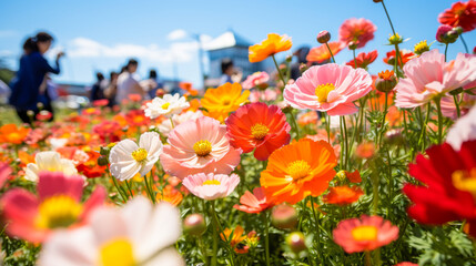 Visitors among Shibazakura flowers at Fuji Festival, Japan.