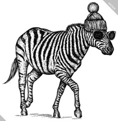 Vintage engraving isolated zebra horse glasses dressed fashion set illustration ink sketch. Wild equine background nag mustang animal silhouette sunglasses hipster hat art. Hand drawn vector image