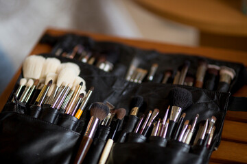 Professional Makeup Brush Set in Black Case - Essential Tools for Beauty, Cosmetics, and Makeup...
