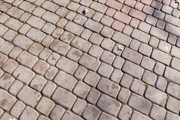 Pavement and the city. Texture, background, photo