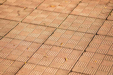 Pavement and the city. Texture, background, photo