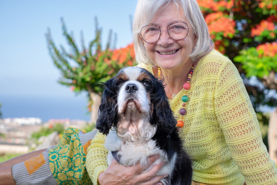 Portrait of senior smiling woman lying down in the meadow with her cavalier king Charles spaniel dog. Elderly lady and her best friend enjoying free relaxed moments