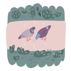 full body of speed racing pigeon bird isolate white background