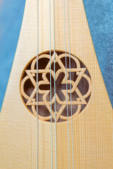detail of the medieval guitar rosette. Short-necked lute. 13th century.