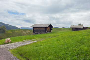 Obraz premium Alpe di Siusi in the Dolomites Italy