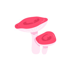 Russula mushroom. Poisonous fungus. Vector cartoon illustration with texture.