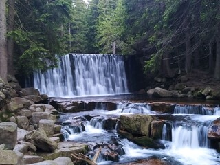 Fototapeta premium waterfall in the forest