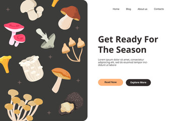 Poisonous and edible mushrooms. Mushroom season in a forest. Vector cartoon illustration for landing page, and web page banner.