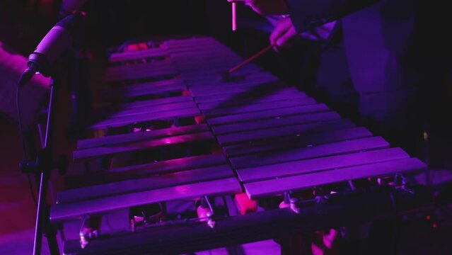 Xylophone concert view of vibraphone marimba player, percussionist holding mallets drum sticks, with a latin orchestra musical band performing in the background