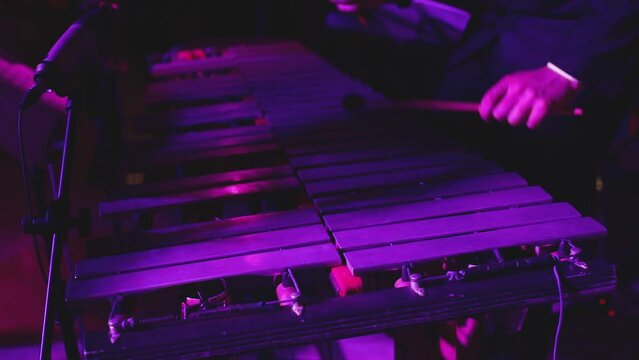 Xylophone concert view of vibraphone marimba player, percussionist holding mallets drum sticks, with a latin orchestra musical band performing in the background