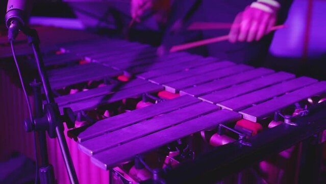 Xylophone concert view of vibraphone marimba player, percussionist holding mallets drum sticks, with a latin orchestra musical band performing in the background