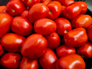 tomatoes on the market