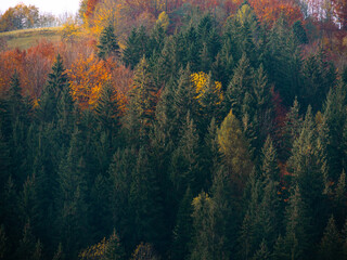 Village in Transcarpathia region scenic Carpathian mountains view Ukraine Europe Autumn countryside landscape Recreation