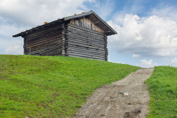 Obraz premium Alpe di Siusi in the Dolomites Italy