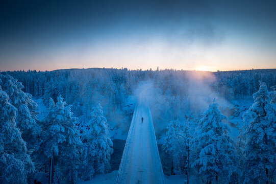 Winter Stroll: Lapland's Frozen Wonderland Unveiled in Sunset Splendor