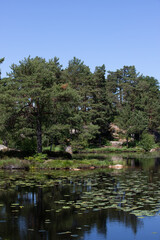 Blauer See an einem sonnigen Tag