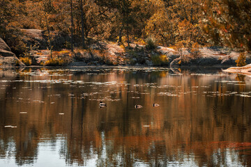 Fototapeta premium Blauer See an einem sonnigen Tag