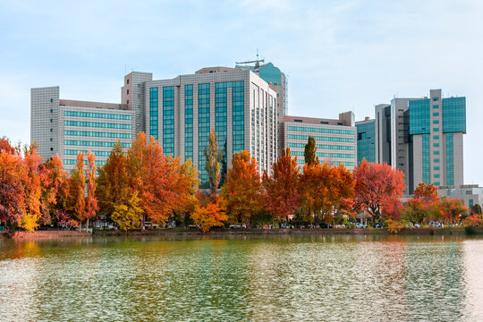 Tashkent, Uzbekistan - October 26, 2023: Autumn landscape, trees with yellow and red leaves in the park in centre of city business center and bank on background