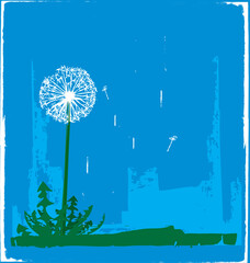 Dandelion vector image