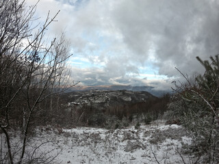 Obraz na płótnie Canvas Panorama of winter landscape. Snowy forest under gray sky with white fluffy clouds.