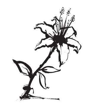 Ink style flower sketch vector image