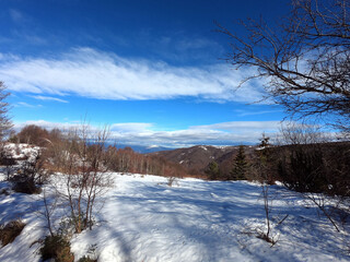 Panorama of winter landscape. Snowy forest under blue sky with white fluffy clouds.