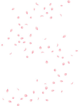 グラデーションな桜の花びらがS字カーブを描きながら舞う縦背景のイラスト