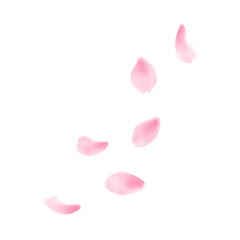 水彩で描いた桜の花びら - obrazy, fototapety, plakaty