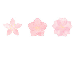 Fototapeta na wymiar 水彩で描いた桜のアイコン