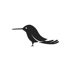 colibri logo template Isolated. Brand Identity. Icon Abstract Vector graphic