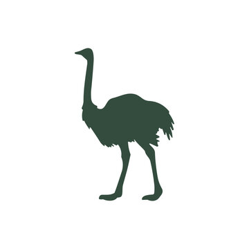 recommend clip art: animal icon vector on white background