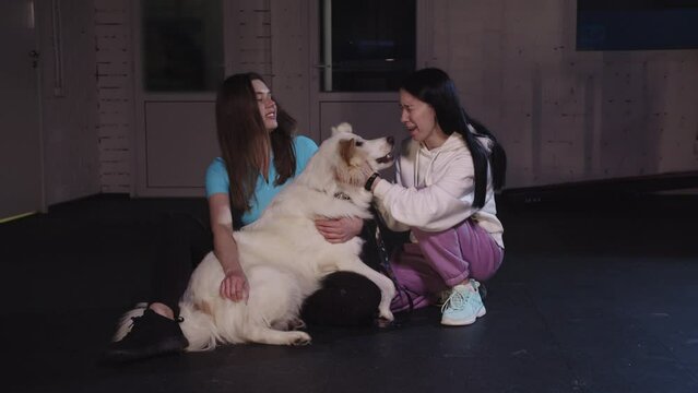 Two girls petting dog retriever that licking