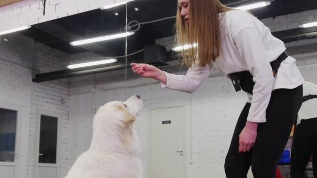 Woman command to dog to give her a paw