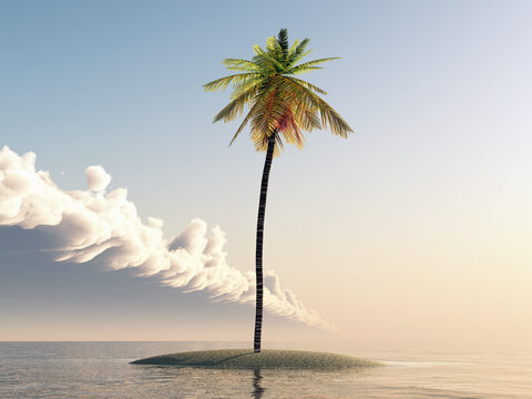 Kleine Insel mit Palme im offenen Meer