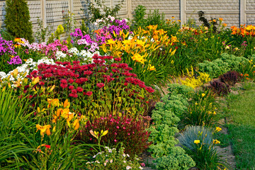 Pysznogłówka, liliowce i floksy wiechowate w ogrodzie, Monarda didyma, Hemerocallis, Phlox paniculata, ogród kwiatowy, ogród z kwitnącymi byliami, colorful flowerbed, flowers garden, flower perennial - obrazy, fototapety, plakaty