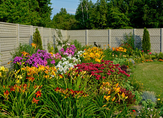 Pysznogłówka szkarłatna, liliowce i floksy wiechowate w ogrodzie (Monarda didyma, Hemerocallis i Phlox paniculata), ogród kwiatowy, ogród z kwitnącymi byliami, colorful flower bed	