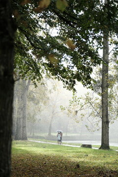 Couple de deux amoureux marchant dans un parc en automne sous une forte pluie s'abritant sous un grand parapluie noir tenu par l'homme pour abriter la femme avec beaucoup de lumi&egrave;re du soleil