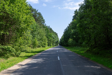 paved old road in the forest in summer