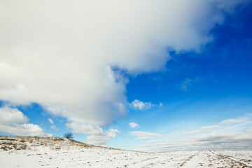silhouette of lonely tree on the hill in Poland, Europe on sunny day in winter, amazing clouds in blue sky