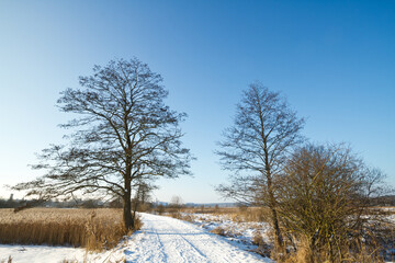 Winter landscape, amazing sundown in winter , Poland Europe, river valley Knyszyn Primeval Forest