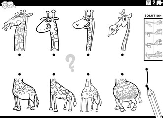 match halves activity with cartoon giraffes coloring page