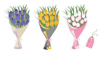 Bouquet of tulip flowers. Tulip flower bouquet vector illustration. Spring flower. Floral bouquet wrapped in gift paper. Gift for special day, celebration day like birthday, teacher day, women day.