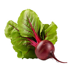 Healthy Beetroot with green leaves isolated on white transparent background. Created with generative AI